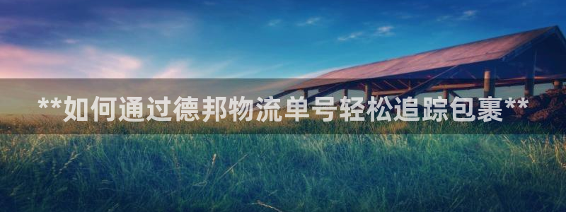 28圈登录不上咋回事：**如何通过德