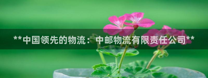 28圈注册上限是啥意思：**中国领先