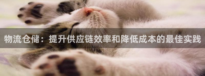 28圈游戏最新版