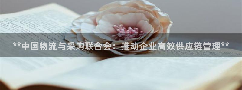 28圈预测
