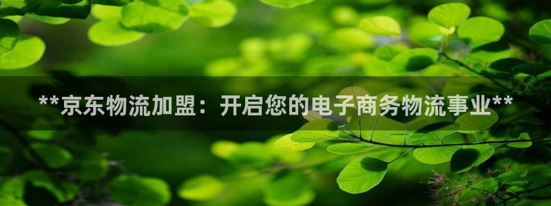 28圈二维码