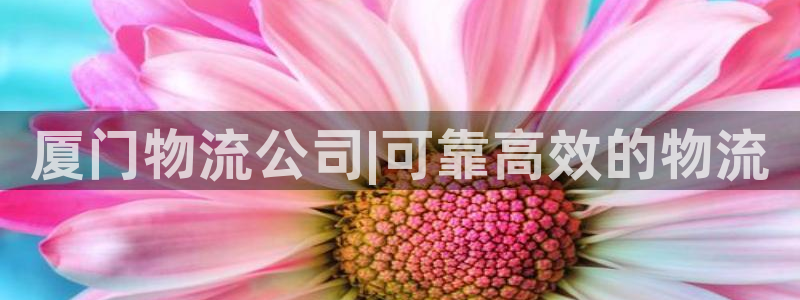 28圈下载二维码怎么弄