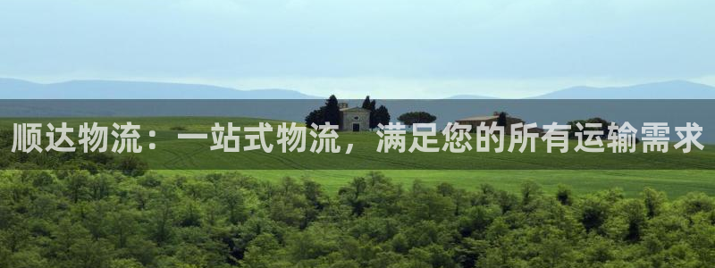 28圈注册网站多少钱一个：顺达物流：