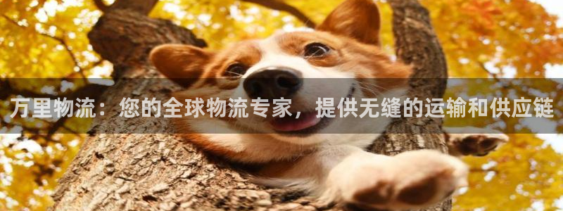28圈注册网址：万里物流：您的全球物