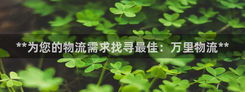 28圈连输10天