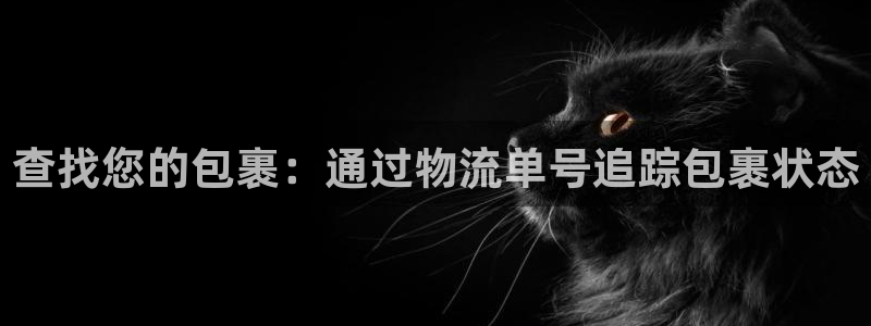 28圈流水怎么算：查找您的包裹：通过