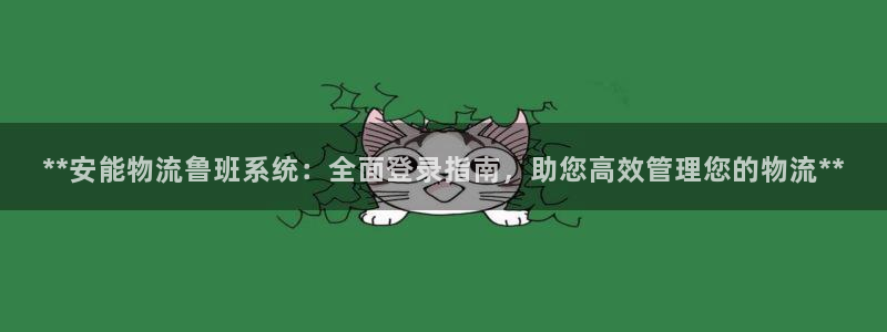 28圈.ccm正版：**安能物流鲁班