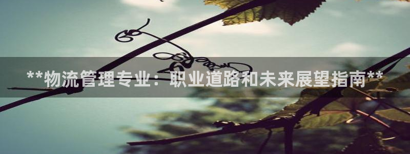 28圈分分压单双技巧
