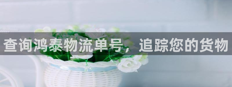 28圈官网多少：查询鸿泰物流单号，追