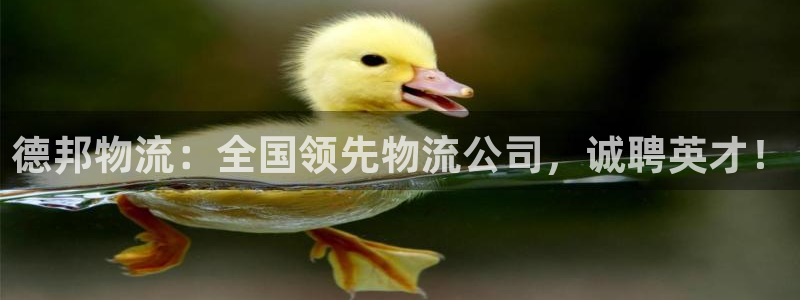 28圈官方网站