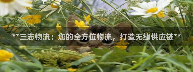 28圈是干嘛的