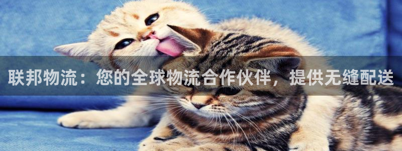 南宫28圈官网版