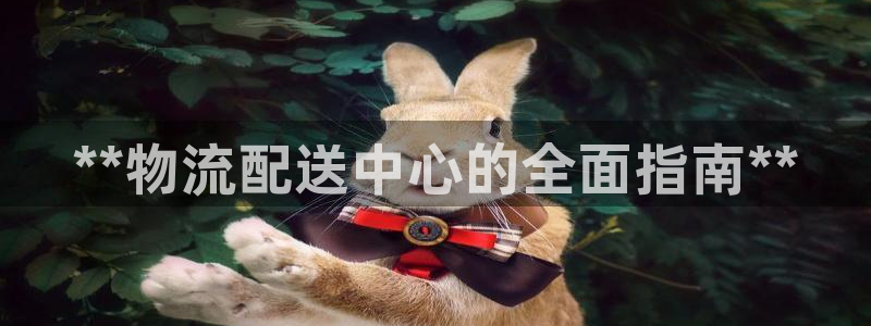 28圈是干嘛的：**物流配送中心的全