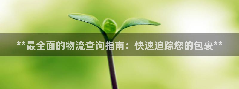 28圈人头费