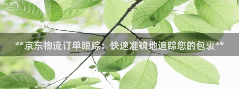 28圈可以退款吗