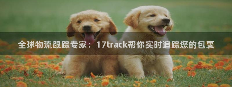 28圈登录用户名登录不上：全球物流跟