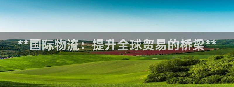 28圈的平台：**国际物流：提升全球