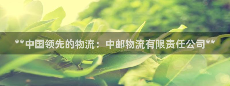 28圈.ccm正版