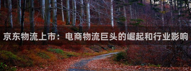 28圈在线预测官网