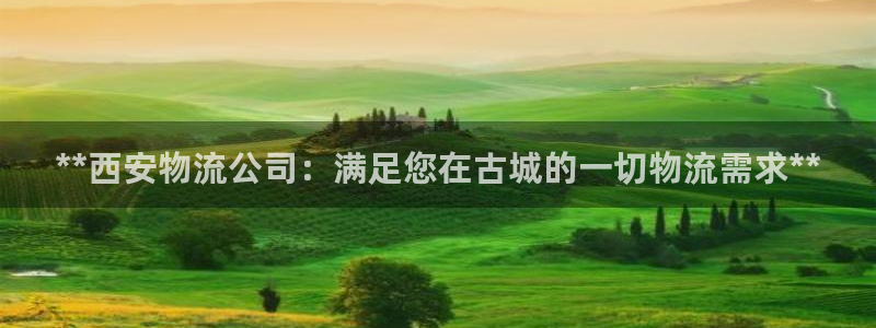 28圈ccm官网版