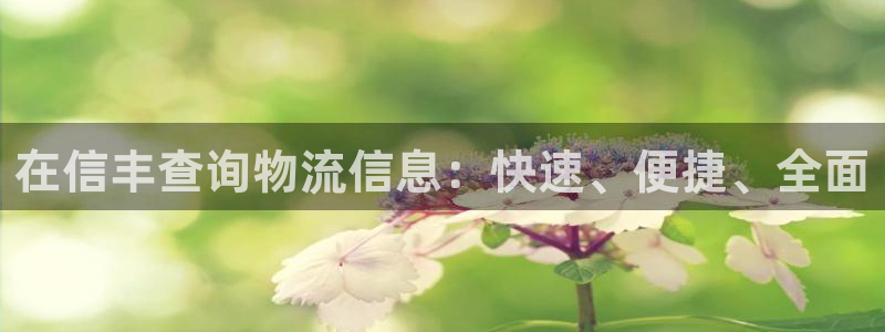 28圈h5链接
