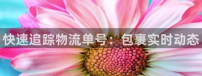 28圈p扣款什么意思