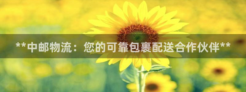 28圈ip被限制怎么解决