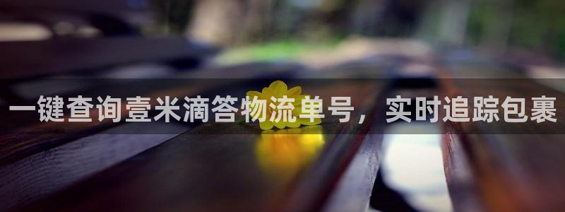 28圈模拟器在线玩