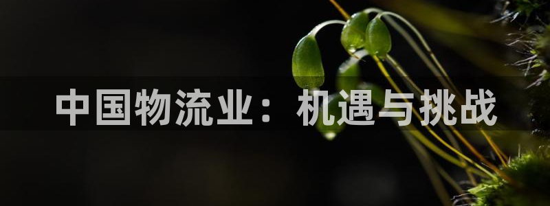 28圈h5链接