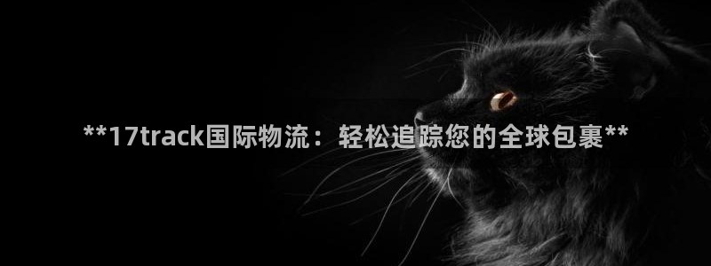 28圈官方版网站：**17track