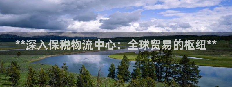 28圈官网版2024