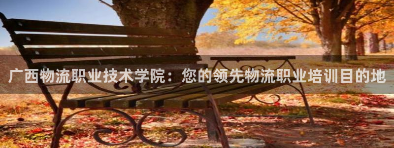 28圈退款教程