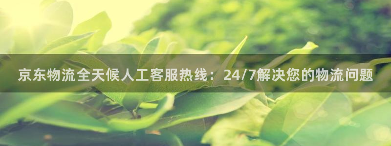 28圈加拿大是什么