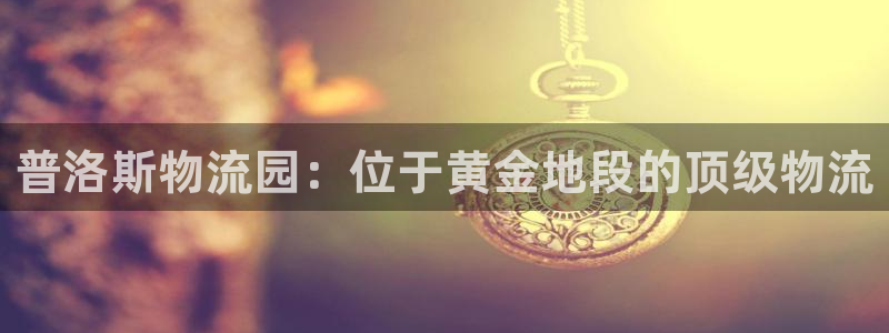 28圈怎么注册游戏名字：普洛斯物流园