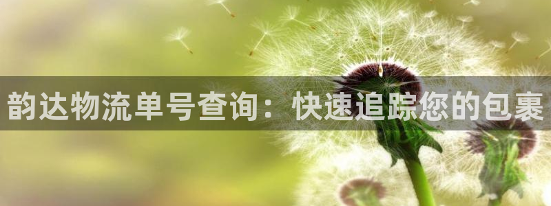 28圈网站平台