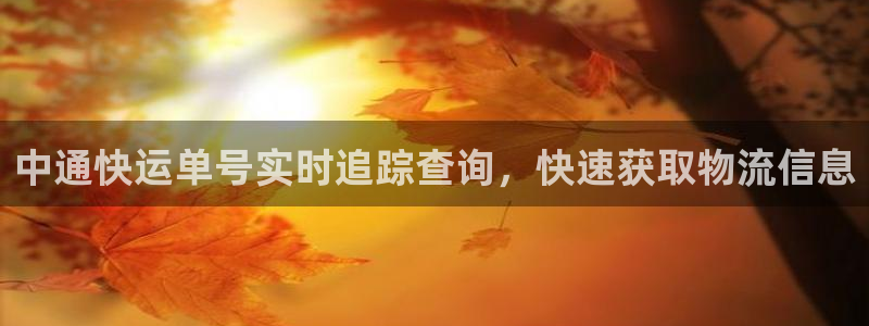 28圈h5链接：中通快运单号实时追踪