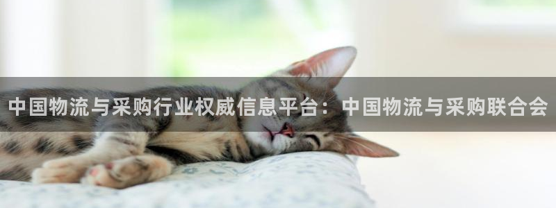 28圈可以退款吗