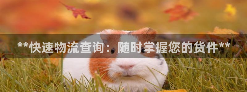 28圈麻将胡了在线试玩
