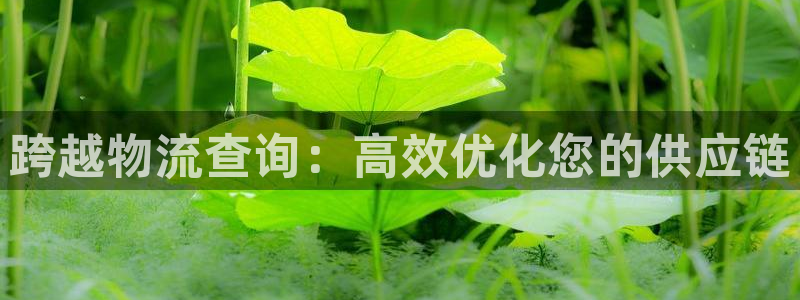 28圈南宫娱乐官网