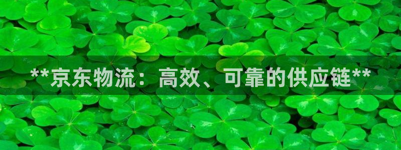 28圈官方版正版：**京东物流：高效