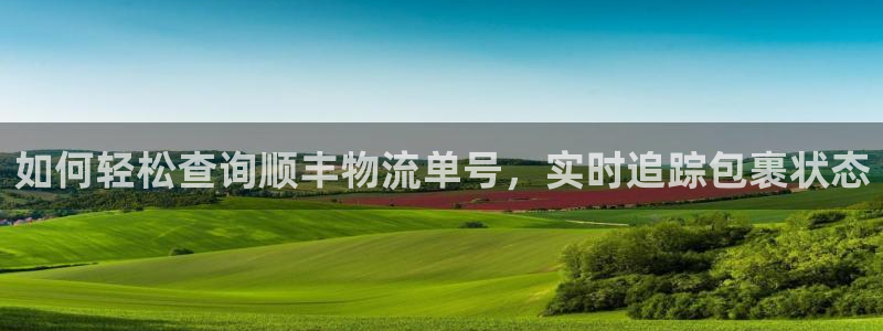 28圈v6能卖多少