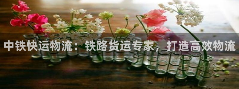 28圈官网版2024