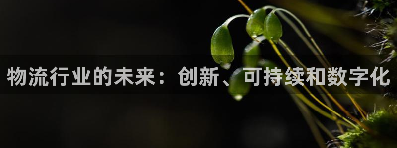 28圈加拿大app预测