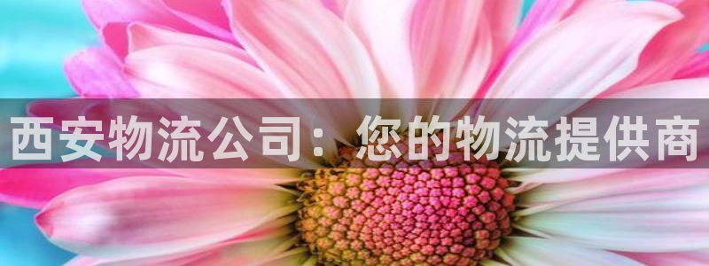 28圈下载二维码