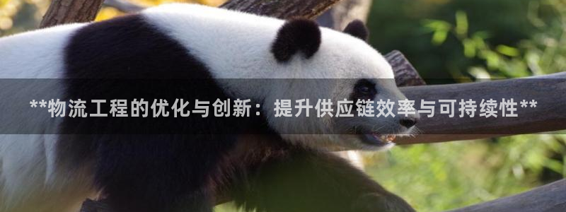 28圈加拿大是什么