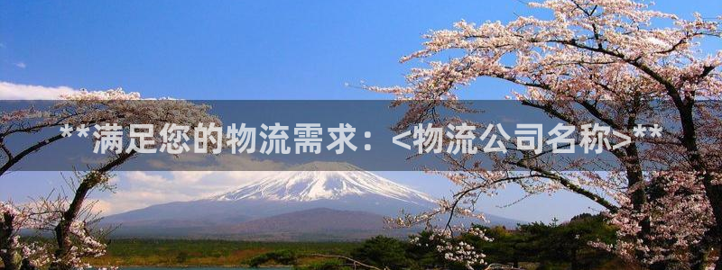 28圈充值不到账