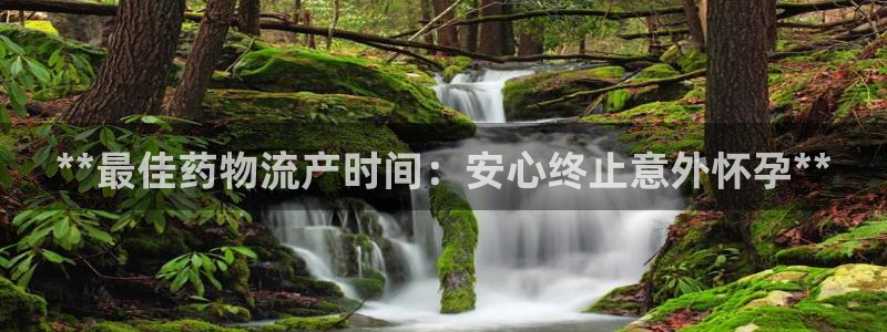 28圈官网注册：**最佳药物流产时间