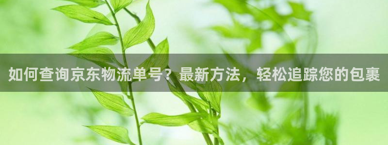 28圈链官网