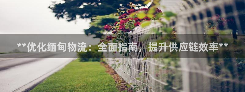 28圈官方网站预测：**优化缅甸物流