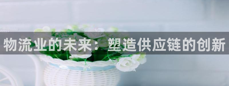 28圈充值不处理怎么办